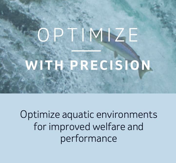 optimize with precision 